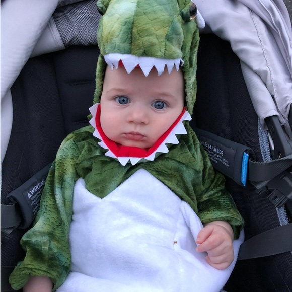 Pottery Barn Baby T Rex Egg Halloween Costume - Picture 2 of 2